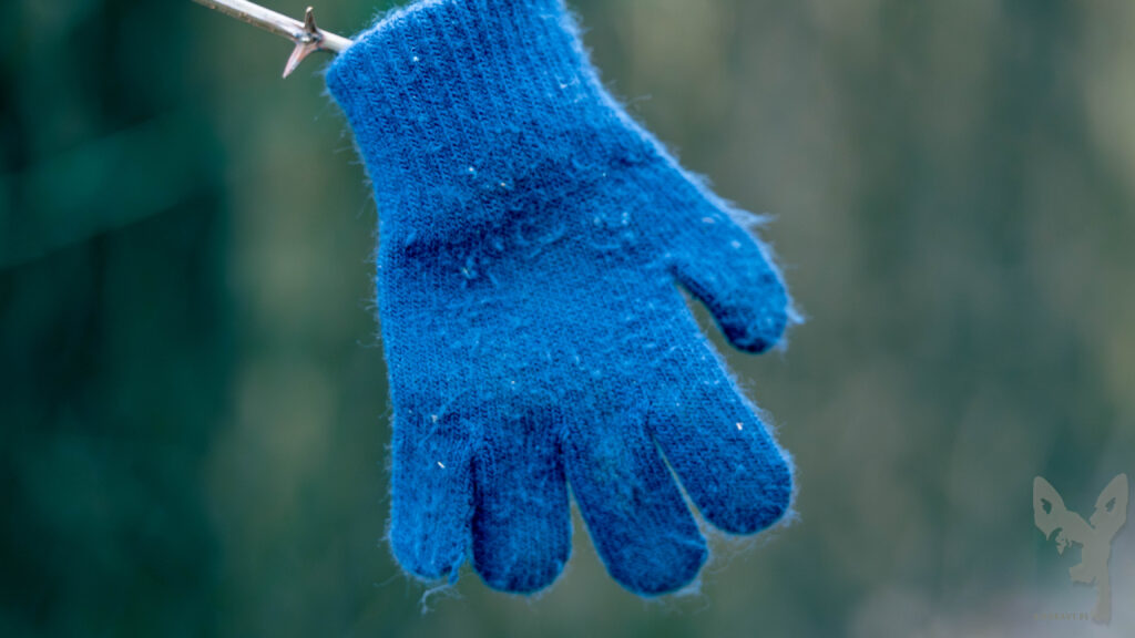 Handschu